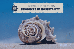 importance of eco friendly products